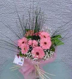  ankara G�lba�� �i�ek ma�azas� , �i�ek�i adresleri  Pembe gerbera mevsim �i�ekleri