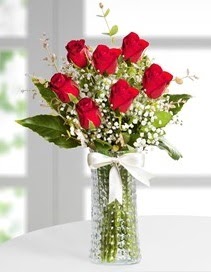 Cam vazoda 7 adet kırmızı gül  Gölbaşı çiçek online çiçek siparişi 