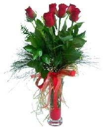 vazo içerisinde 5 kırmızı gül  çiçek siparişi Gölbaşı çiçekçiler 