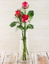 Cam içerisinde 3 kırmızı gül  Ankara Gölbaşı hediye sevgilime hediye çiçek 
