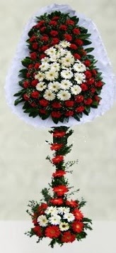  G�lba�� �i�ek sipari�i yurti�i ve yurtd��� �i�ek sipari�i  �ift katl� d���n a��l�� �i�e�i