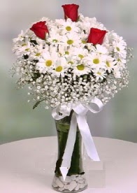 Cam i�inde papatyalar 3 adet k�rm�z� g�l  G�lba��na �i�ek , �i�ek�i , �i�ek�ilik 