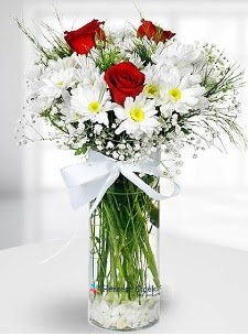 3 k�rm�z� g�l ve krizantemler camda  G�lba�� �i�ek�iler  �i�ek sipari�i sitesi 