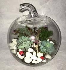 K���k terrarium elma 3 kakt�s  G�lba�� �i�ek�iler  �i�ek sipari�i sitesi 