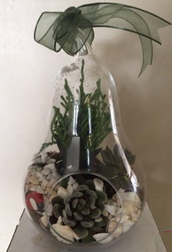 Orta boy armut terrarium 3 kaktüs  çiçek siparişi Gölbaşı çiçekçiler 