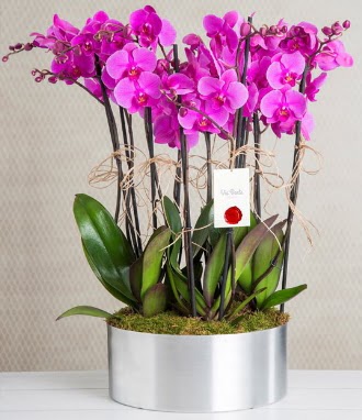 11 dallı mor orkide metal vazoda  Gölbaşı çiçek gönder cicekciler , cicek siparisi 