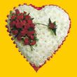  Ankara çiçekçiler Gölbaşı online çiçek gönderme sipariş  1.20m x 1.20m  Gerbera Güller