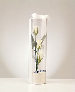  Ankara Gölbaşı 14 şubat sevgililer günü çiçek  Nazar boncuklu 3 beyaz gül