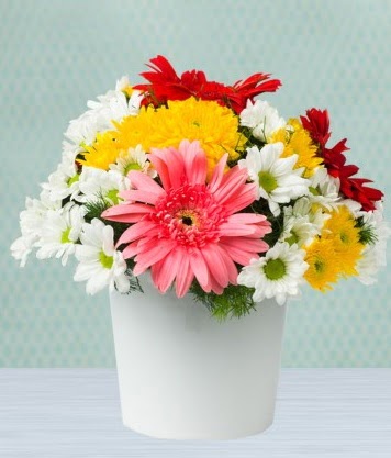 Seramik Vazoda Gelbera ve Papatya  Ankara Gölbaşı 14 şubat sevgililer günü çiçek 
