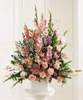  Ankara G�lba�� hediye sevgilime hediye �i�ek  Glayor karanfil Gerbera tanzim