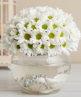 Fanusta beyaz Papatya  Ankara Gölbaşı hediye sevgilime hediye çiçek  