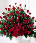  G�lba�� �i�ek online �i�ek sipari�i  51 Adet  G�l Sadece sen... 