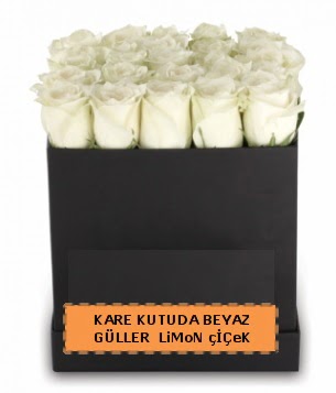 Kare kutuda 17 adet beyaz gül tanzimi  Gölbaşı çiçekçi güvenli kaliteli hızlı çiçek 