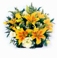  G�lba�� �i�ek�iler  �i�ek sipari�i sitesi  Lilyumlardan bir sepet �zel